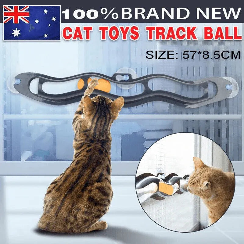 Interactive Cat Track Ball Toy with Window Suction Cup for Indoor Play and Exercise V528-CATTOY-49164