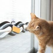 Interactive Cat Track Ball Toy with Window Suction Cup for Indoor Play and Exercise V528-CATTOY-49164