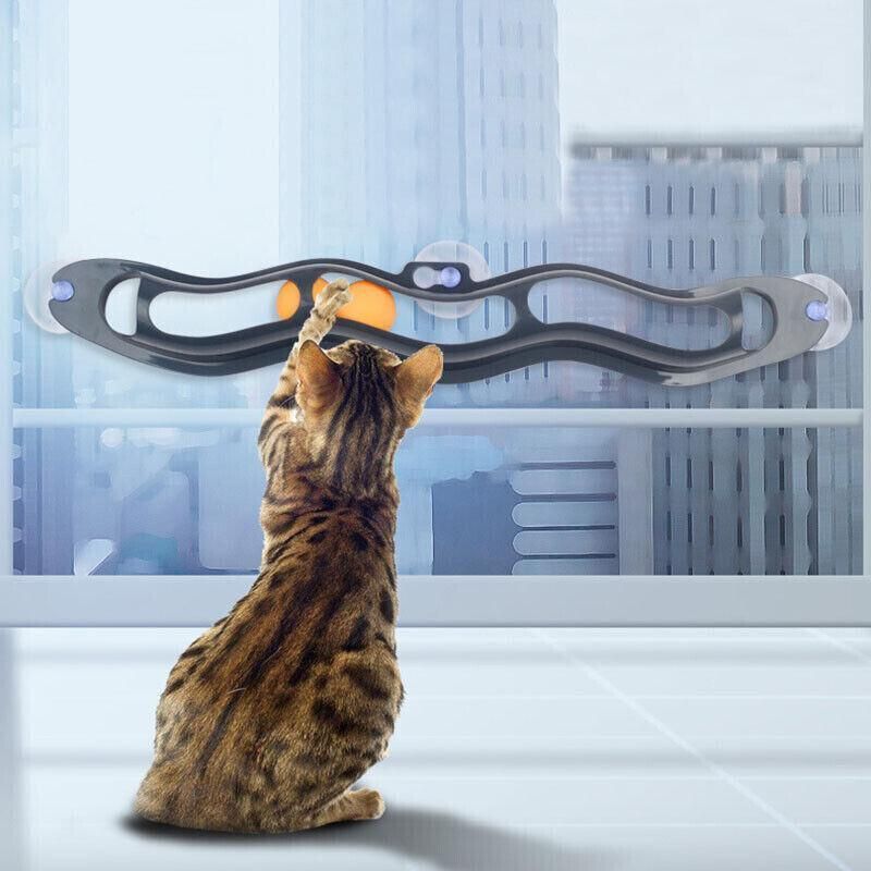 Interactive Cat Track Ball Toy with Window Suction Cup for Indoor Play and Exercise V528-CATTOY-49164