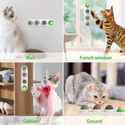 Cat Toy Catnip Ball Lick Solid Nutrition Help Digestion Wall Mount Hair Remover - Pink V528-CATTOY-PINK-207955