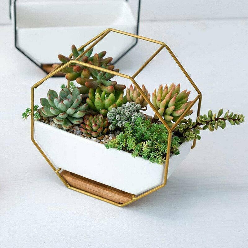 Wall Hanging Succulent Planter Pot Indoor Outdoor Flower Plant Vase Garden Decor - Gold V528-CERAMICS-GOLD-54654