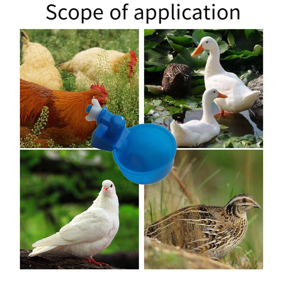6pcs Chicken Drinking Bowl Poultry Waterer Feeder Automatic Drinking Cups Coop V528-CHICKEN-BOWL-BLUE-6PCS-684950