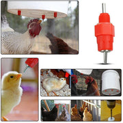 10 PCS Automatic Nipple Water Valves for Poultry and Duck Feeding V528-CHICKENWATERDISPENSER-10-546541
