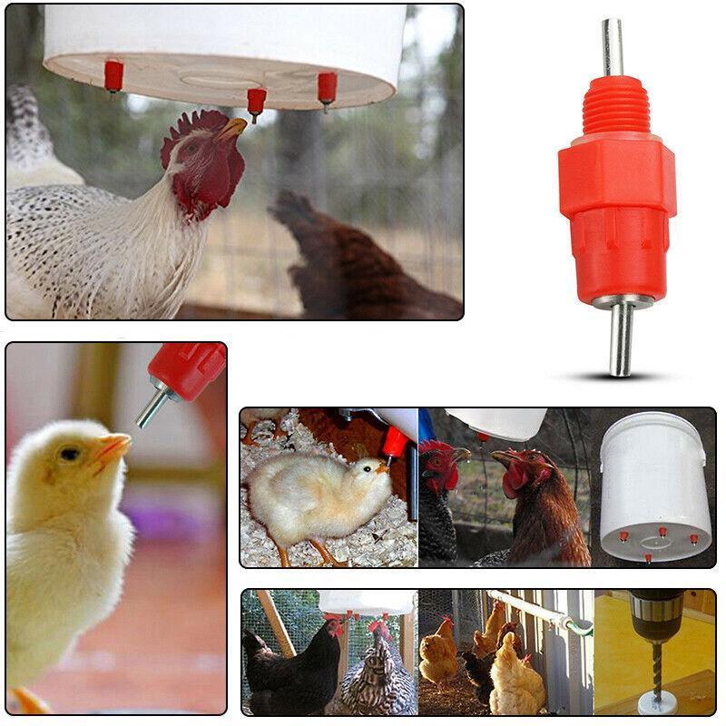 10 PCS Automatic Nipple Water Valves for Poultry and Duck Feeding V528-CHICKENWATERDISPENSER-10-546541