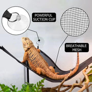 2x Reptile Hammock for Small Large Bearded Dragon Lizard Reptile Snakes Black - Small V528-CLIMBING-NET-2PCS-33-33-33-799589