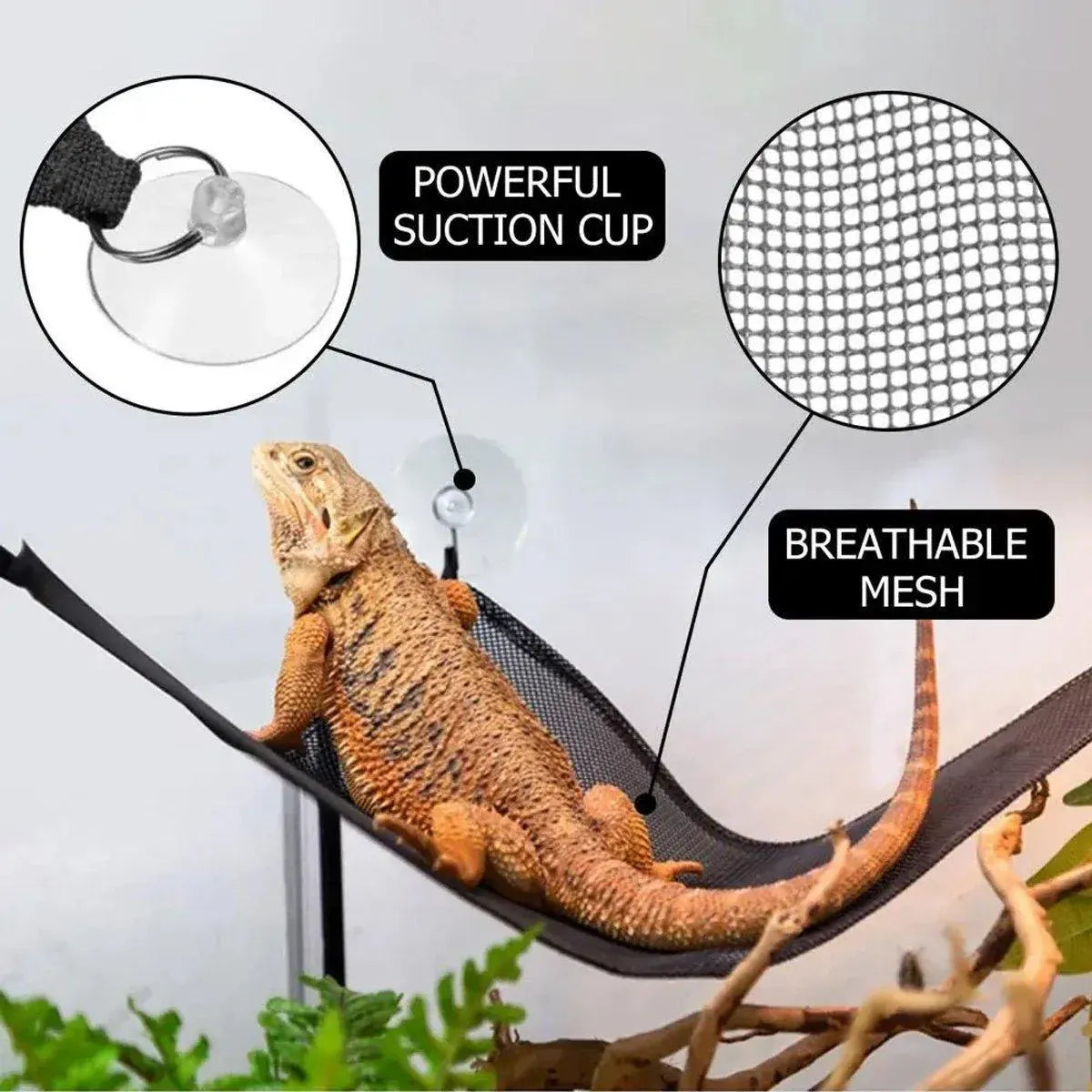 2x Reptile Hammock for Small Large Bearded Dragon Lizard Reptile Snakes Black - Small V528-CLIMBING-NET-2PCS-33-33-33-799589
