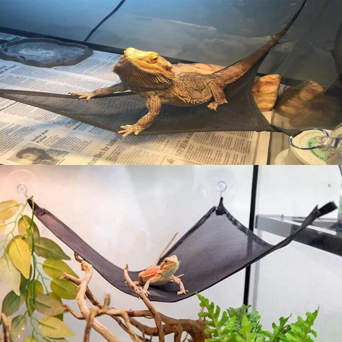 2x Reptile Hammock for Small Large Bearded Dragon Lizard Reptile Snakes Black - Small V528-CLIMBING-NET-2PCS-33-33-33-799589
