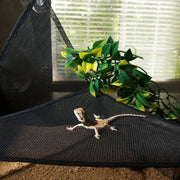 2x Reptile Hammock for Small Large Bearded Dragon Lizard Reptile Snakes Black - Small V528-CLIMBING-NET-2PCS-33-33-33-799589