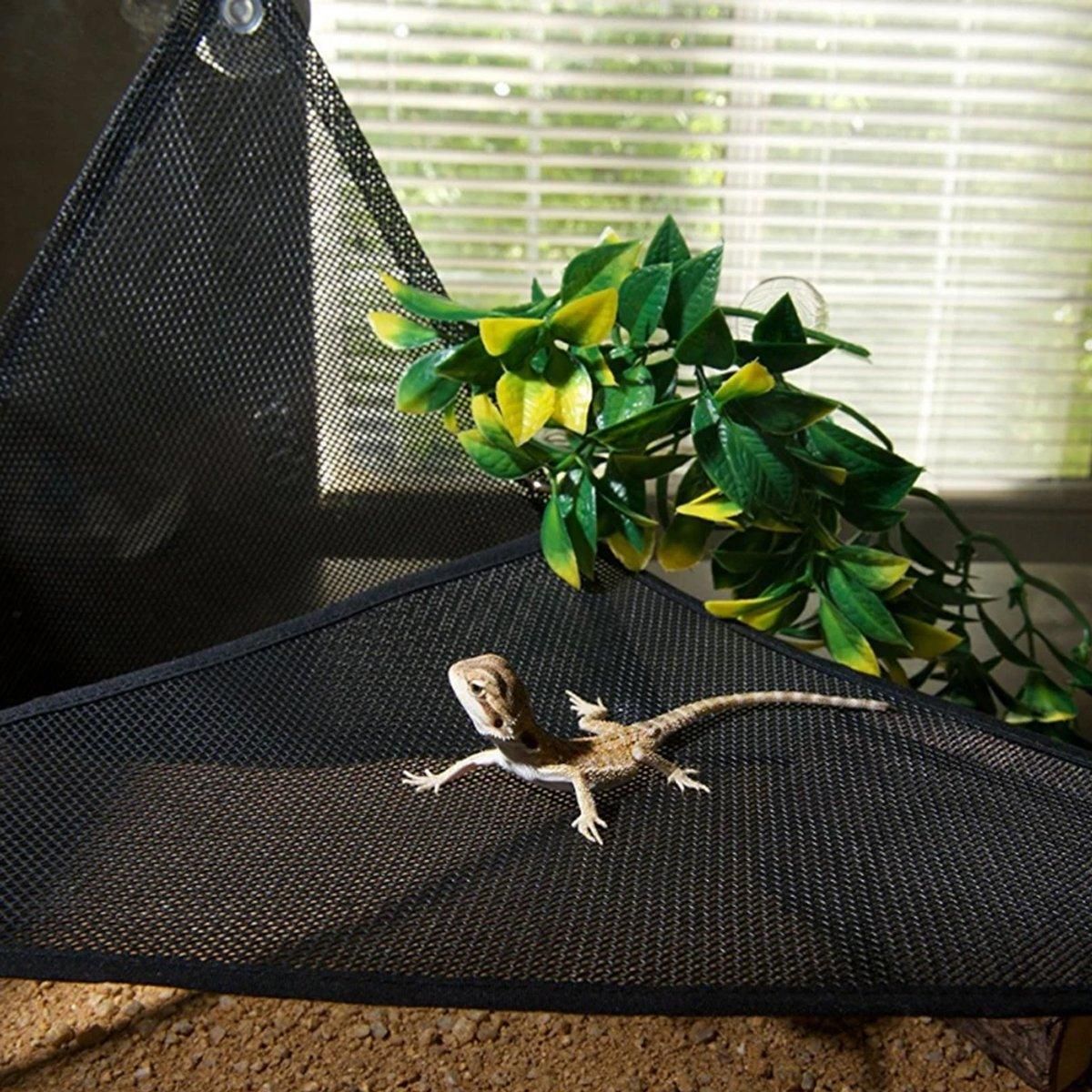 2x Reptile Hammock for Small Large Bearded Dragon Lizard Reptile Snakes Black - Small V528-CLIMBING-NET-2PCS-33-33-33-799589