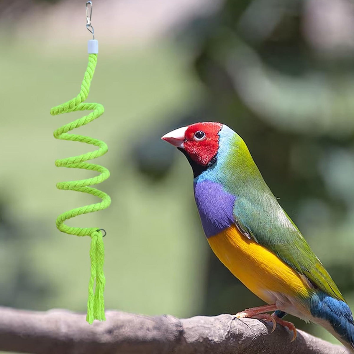 Bird Climbing Rope Toy Cotton Spiral Ladder Parrot Cage Hanging Swing Pet Toy - Green V528-CLIMBING-ROPE-GREEN-584710