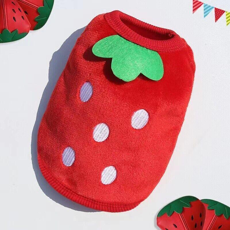 M Size Warm Winter Dog Clothes Soft Fleece Dog Jacket Pet Coat Sweater Puppy Cat Jumper - Blue Ice Cream V528-CLOTHING-BLUEICECREAM-M-19265