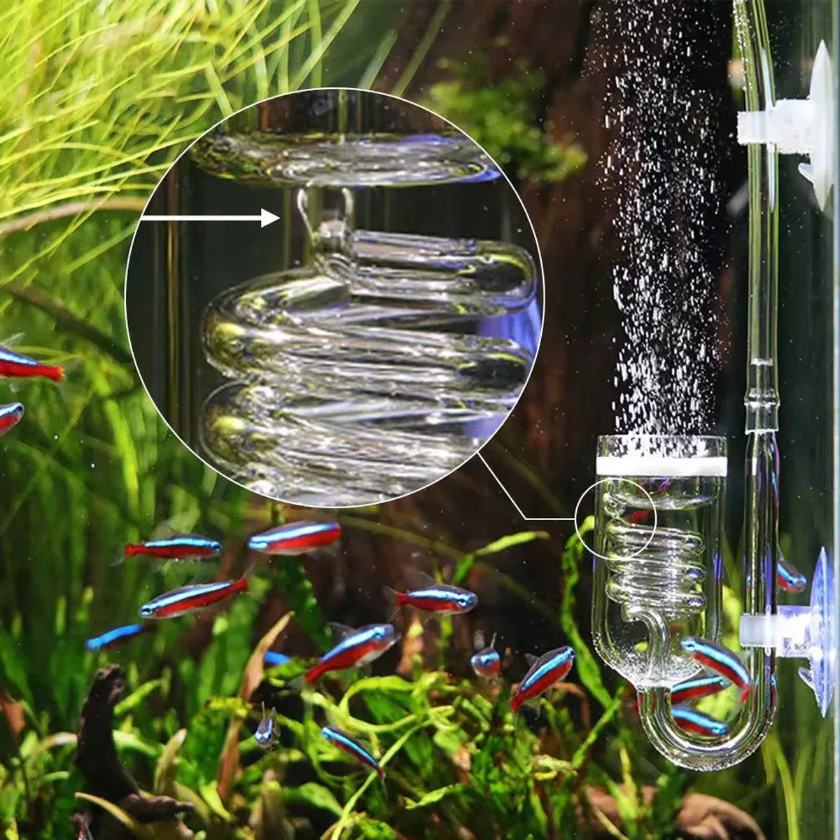 Aquarium Diffuser Glass Spiral Atomizer CO2 Reactor for Planted Tanks V528-CO2-DIFFUSER-296969
