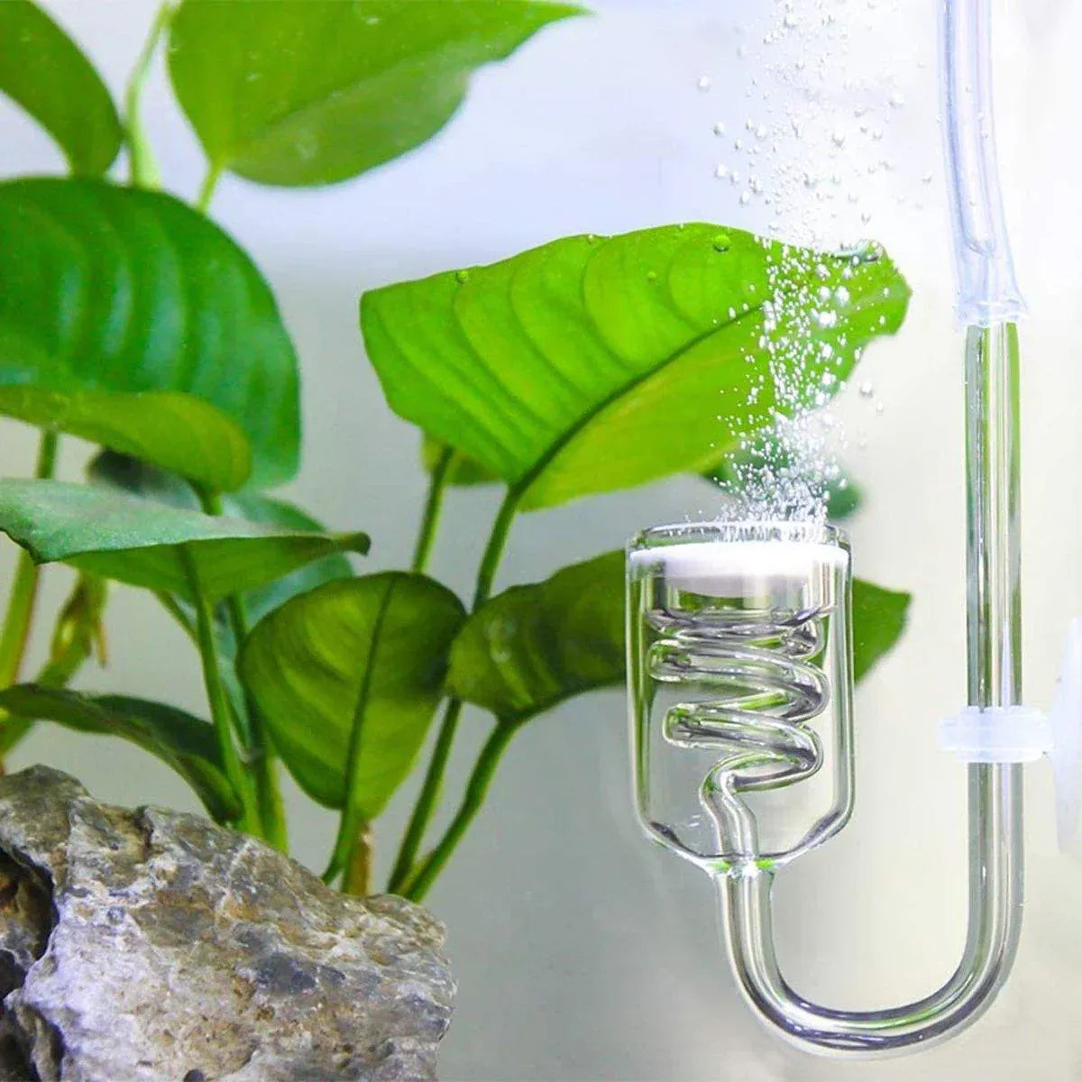 Aquarium Diffuser Glass Spiral Atomizer CO2 Reactor for Planted Tanks V528-CO2-DIFFUSER-296969