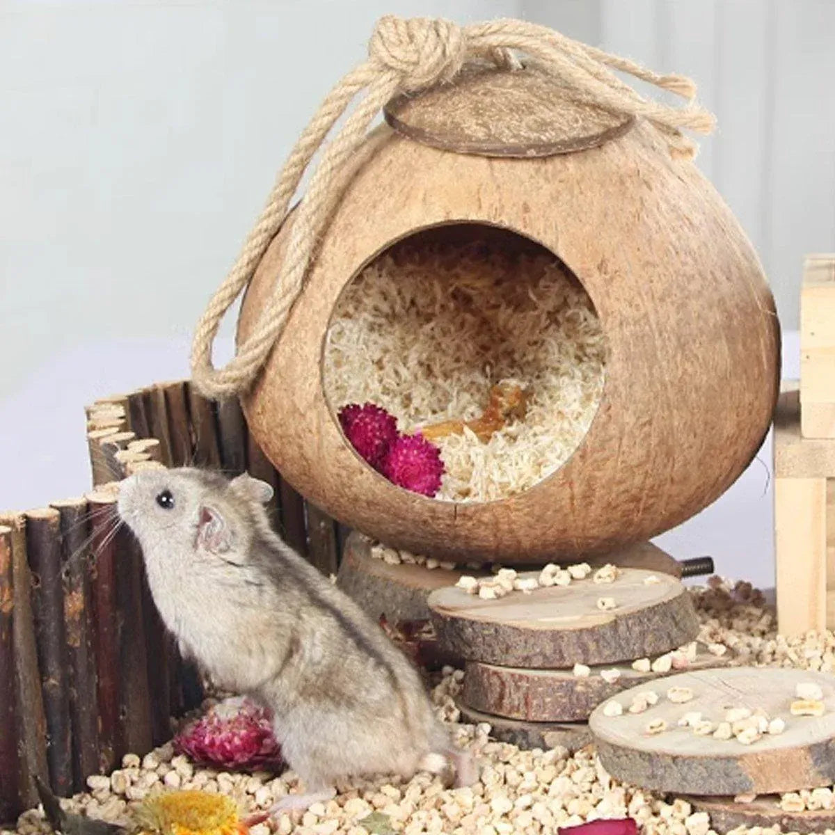 Lanyard Birdhouse Parrot Coconut Nest Bed Hanging Bird Cage for Small Birds - Stairs type V528-COCOANUT-NEST-LT-184597