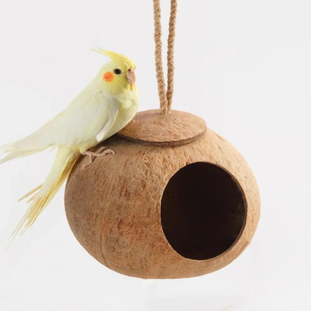 Lanyard Birdhouse Parrot Coconut Nest Bed Hanging Bird Cage for Small Birds - Stairs type V528-COCOANUT-NEST-LT-184597