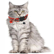 Reflective Cat Collar with Breakaway Buckle and Bell Adjustable for Small Pet Use - Apple Green V528-COLOUR-APPLEGREEN57166