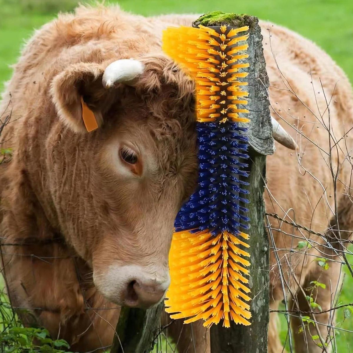 Multifunctional Livestock Brush Massage Scratching and Cleaning Rubbing Brush V528-COW-BODY-BRUSH-113694