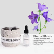Crystal Stone Oil Diffuser Passive Aromatherapy Set White Natural Bedroom Decor - Blue Bellflower V528-CRYSTAL-STONE-BLUEBELL-247962