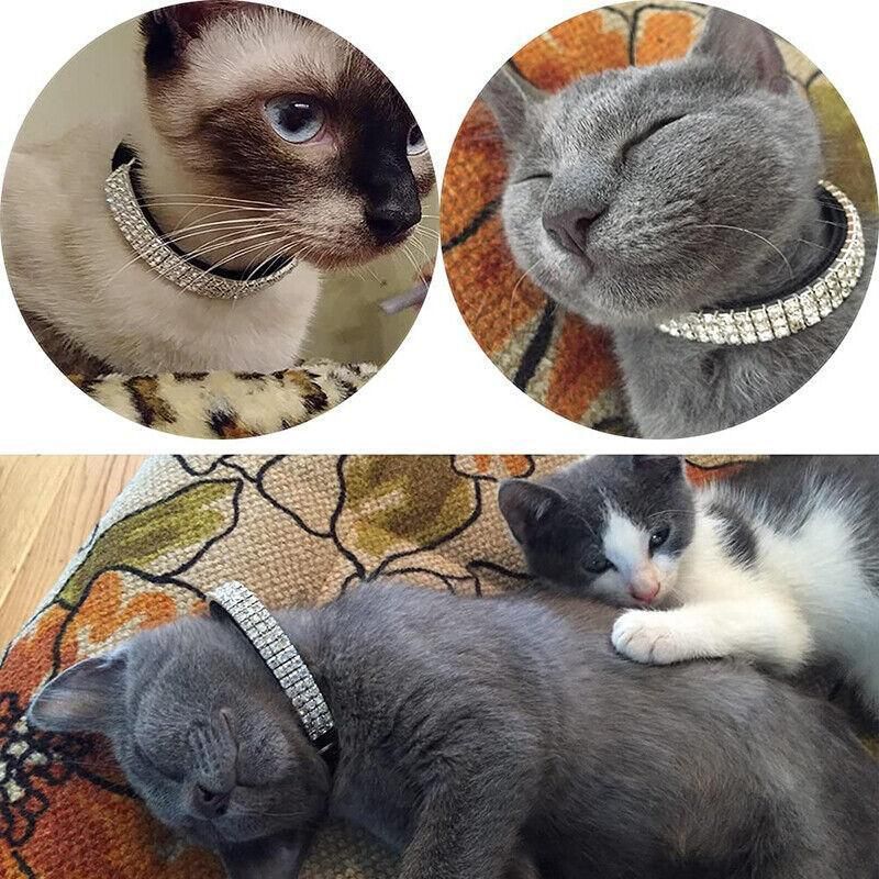 Suede Adjustable Pet Collar with Rhinestone for Cat Puppy 5 Colours Quick Release - Red V528-CRYSTALCOLLAR-RED-15845