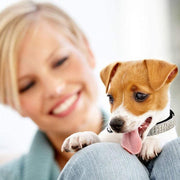 Suede Adjustable Pet Collar with Rhinestone for Cat Puppy 5 Colours Quick Release - Red V528-CRYSTALCOLLAR-RED-15845
