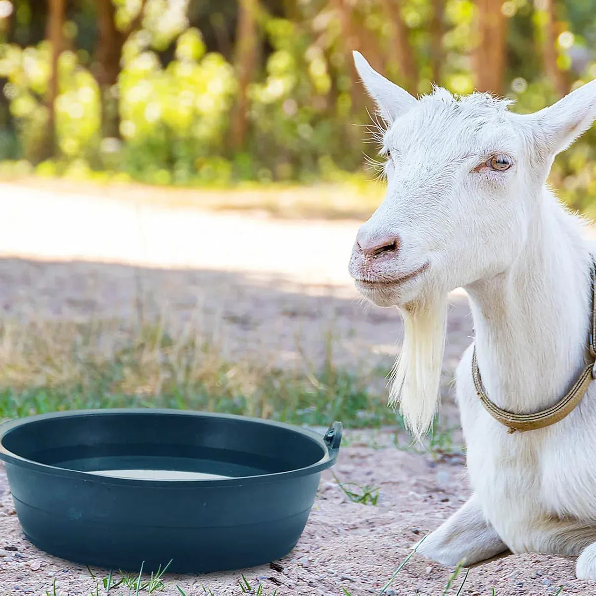 Chicken Feeding Basin 6pcs Plastic Breeding Trough Bowl Farm Feeder Container V528-CULTURE-POT-S-6PCS-772758