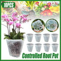 10xClear Plastic Orchid Pots with Holes for Phalaenopsis Root Aeration V528-CUP-TRANSPARENT-10PCS-556970