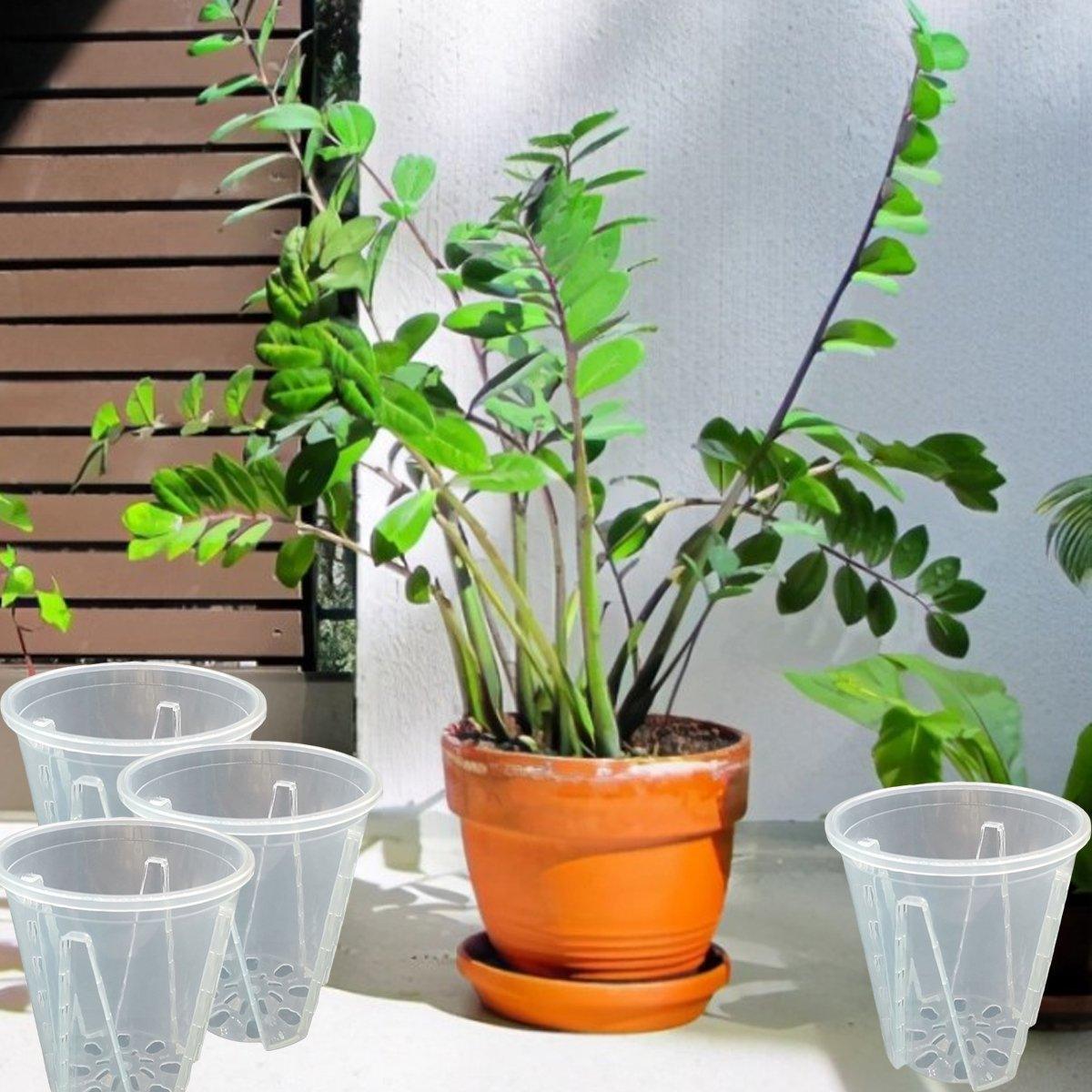 10xClear Plastic Orchid Pots with Holes for Phalaenopsis Root Aeration V528-CUP-TRANSPARENT-10PCS-556970