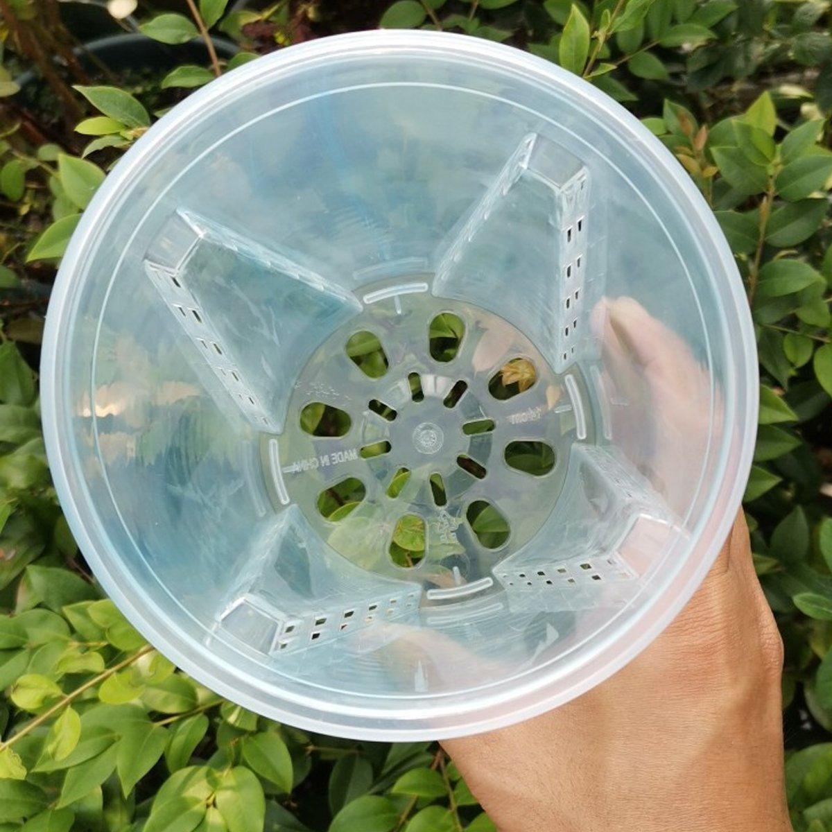 10xClear Plastic Orchid Pots with Holes for Phalaenopsis Root Aeration V528-CUP-TRANSPARENT-10PCS-556970