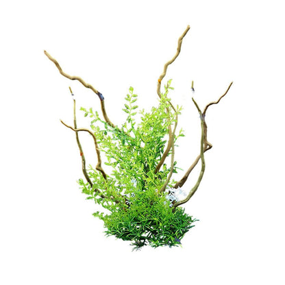 Aquarium Landscaping Decoration Artificial Wood and Plants Fish Tank Ornament - CM1901-Green V528-DEADWOOD-CM1901-388175