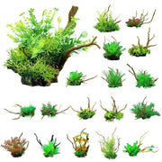 Aquarium Landscaping Decoration Artificial Wood and Plants Fish Tank Ornament - CM1902-Green V528-DEADWOOD-CM1902-419441