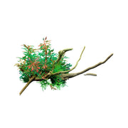 Aquarium Landscaping Decoration Artificial Wood and Plants Fish Tank Ornament - CM2201-Dark Red V528-DEADWOOD-CM2201-TH-740863