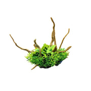 Aquarium Landscaping Decoration Artificial Wood and Plants Fish Tank Ornament - CM2201-Dark Red V528-DEADWOOD-CM2201-TH-740863
