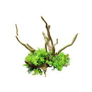 Aquarium Landscaping Decoration Artificial Wood and Plants Fish Tank Ornament - CM2201-Dark Red V528-DEADWOOD-CM2201-TH-740863