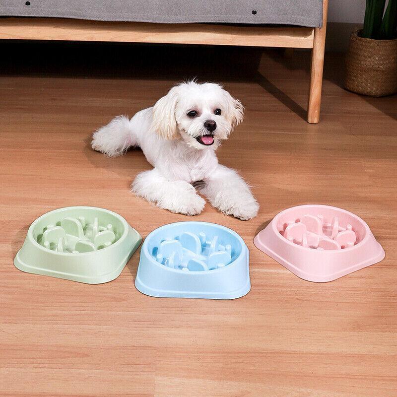 Dog-Bowl Dishes Slow-Feeder Large Pet-Eat Dogs Food-Nonslip Interactive - Blue V528-DISHESSLOW-FEEDER-BLUE-317023