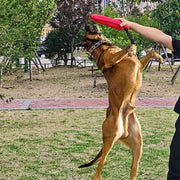 Cloth Bite Stick Teether Dog Training Bite Stick Durable Chew Toy for Pets V528-DOG-BAG-2PCS-252001