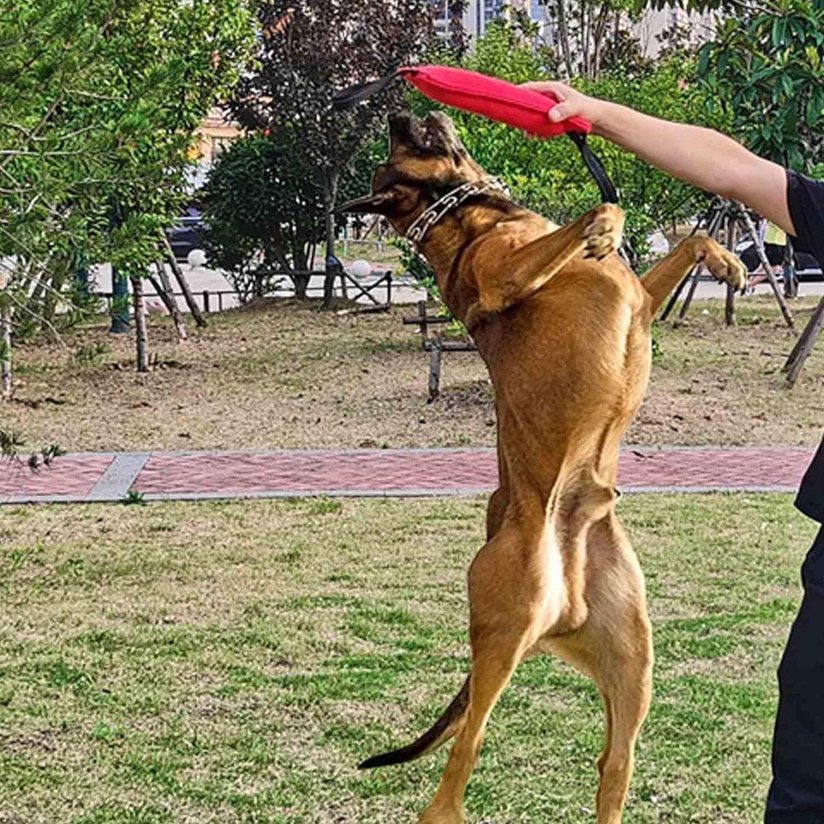 Cloth Bite Stick Teether Dog Training Bite Stick Durable Chew Toy for Pets V528-DOG-BAG-2PCS-252001