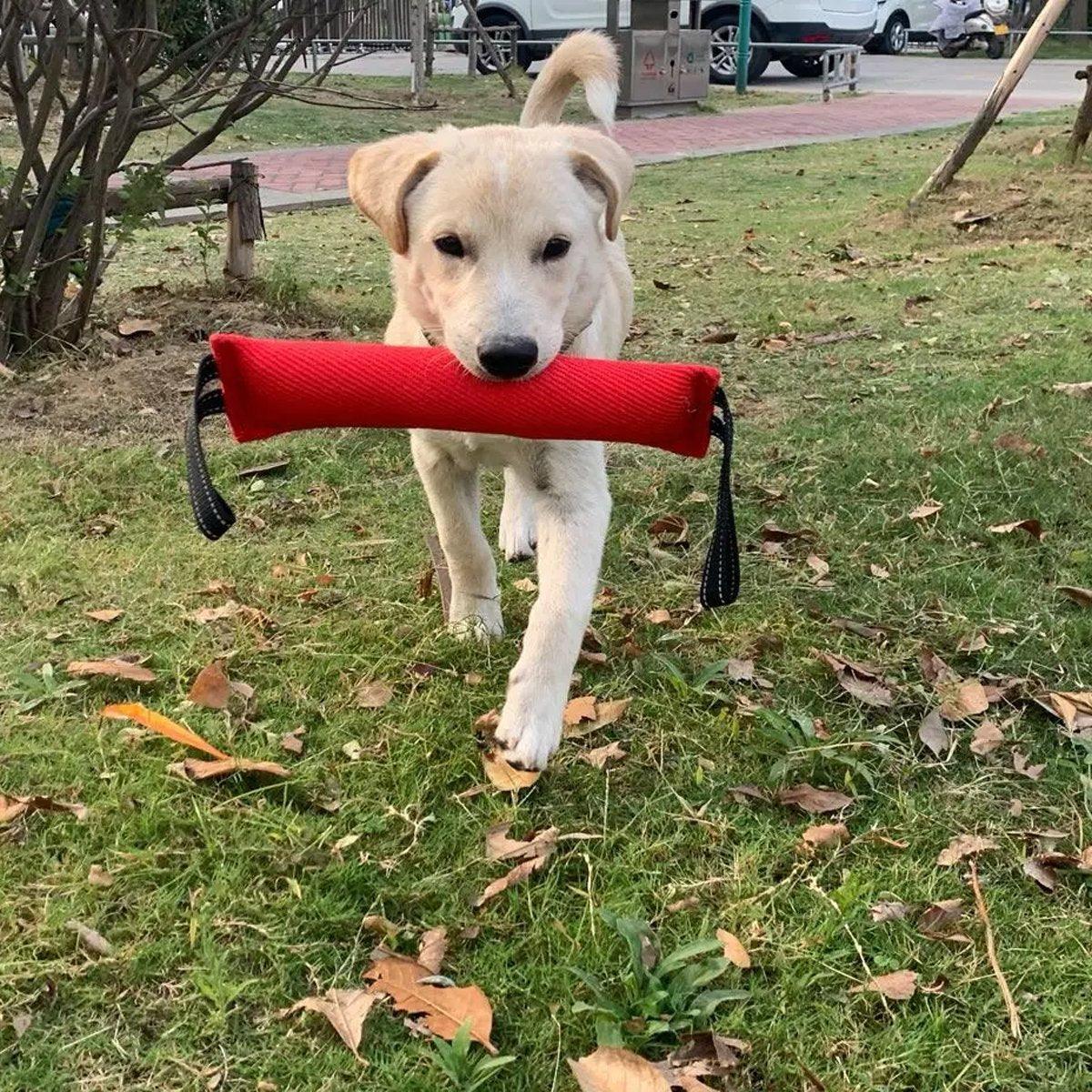Cloth Bite Stick Teether Dog Training Bite Stick Durable Chew Toy for Pets V528-DOG-BAG-2PCS-252001