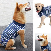 Dog Recovery Suit Anti-Lick Wound Protector Pet Clothing Post-Surgery Belly - Stripes-S V528-DOG-CLOTHES-STRIPES-S-611003