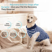 Dog Recovery Suit Anti-Lick Wound Protector Pet Clothing Post-Surgery Belly - Stripes-S V528-DOG-CLOTHES-STRIPES-S-611003