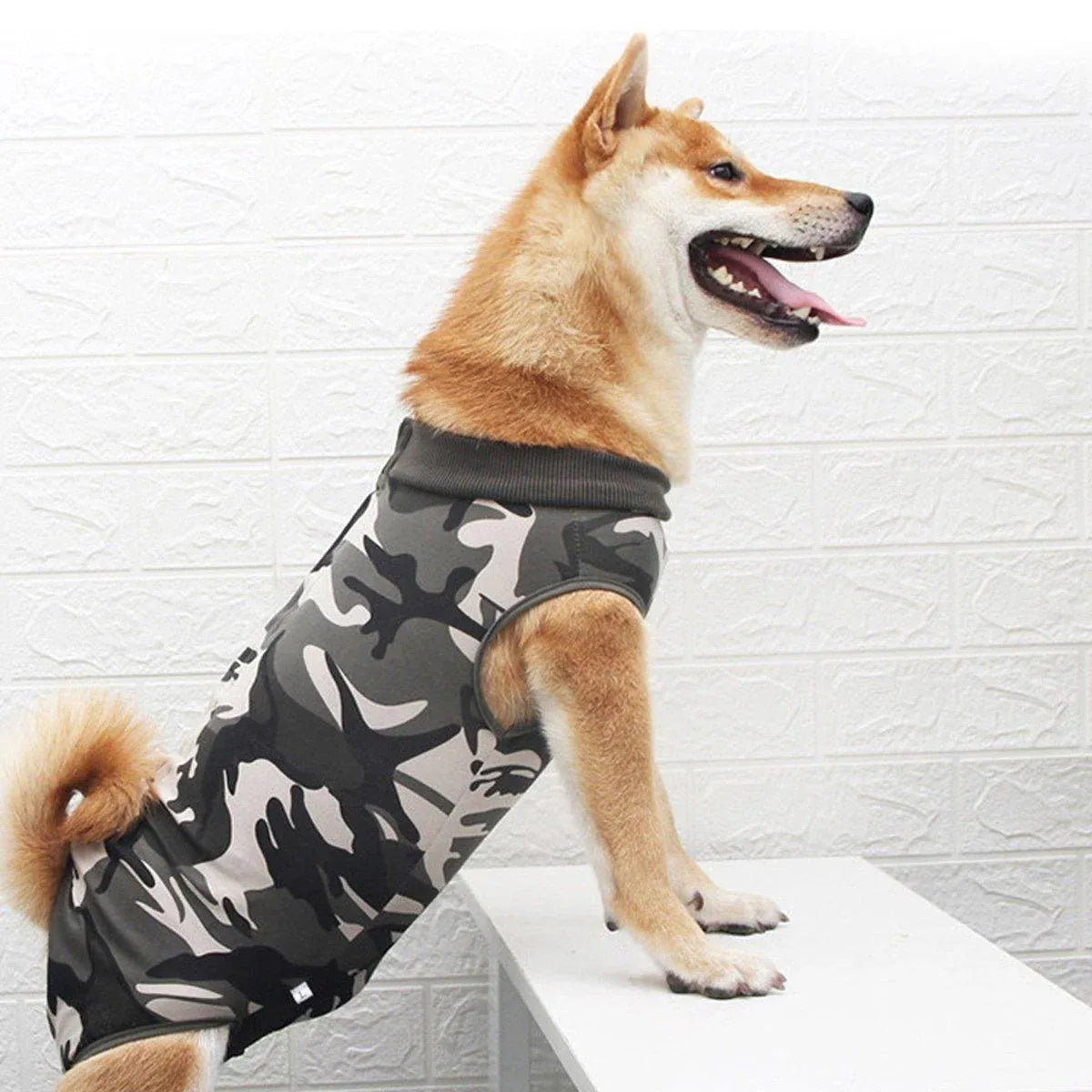 Dog Recovery Suit Anti-Lick Wound Protector Pet Clothing Post-Surgery Belly - Stripes-S V528-DOG-CLOTHES-STRIPES-S-611003