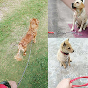 120Cm Pet Dog Puppy Padded Handle Metal Chain Dog Leash - Red V528-DOGCHAINLEAD-RED-142659