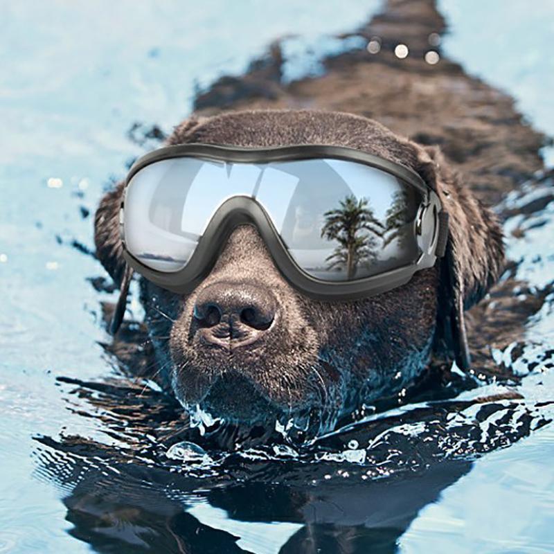 Fashion Pet Dog Doggles Goggles Uv Sunglasses Sun Glasses Eye Wear Protection V528-DOGDOGGLES-622064