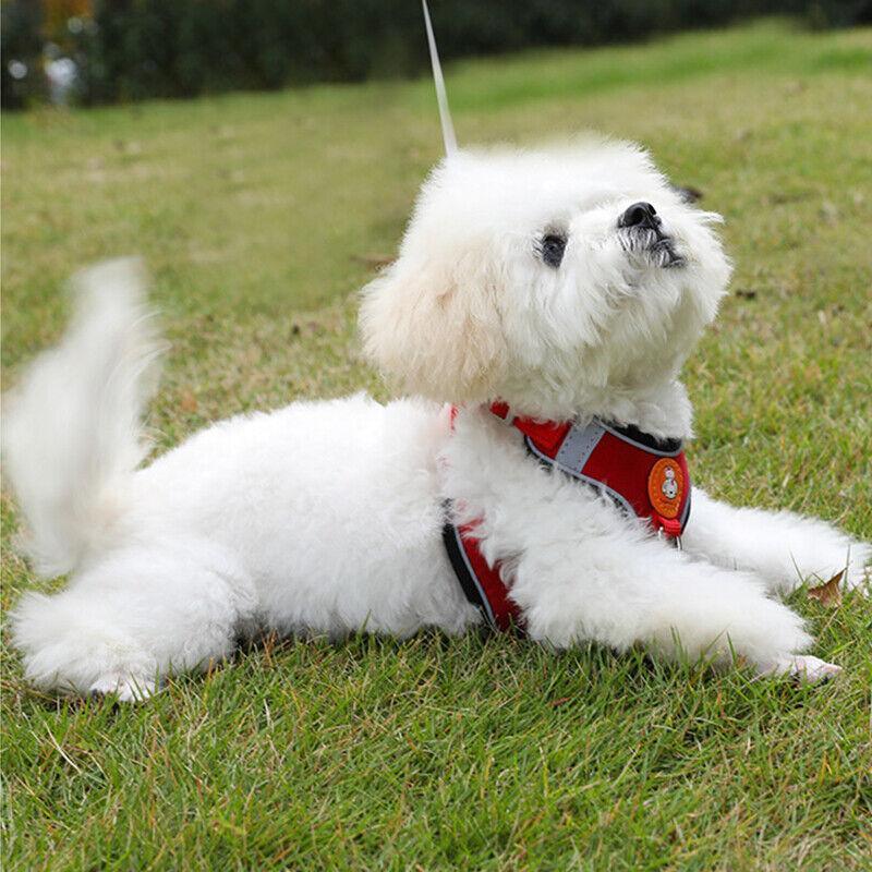 Dog Harness Cat Lead Puppy Leash Vest Mesh Breathe Adjustable Braces Small Pet Pink - L V528-DOGHARNESS-PINK-L-724111