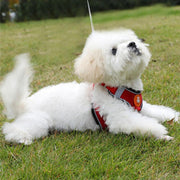 Dog Harness Cat Lead Puppy Leash Vest Mesh Breathe Adjustable Braces Small Pet Pink - M V528-DOGHARNESS-PINK-M-687033