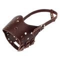 Adjustable Leather Pet Dog Mask Mouth Muzzle Anti Barking Bite Stop Chewing Brown - L V528-DOGMASK-BROWN-L-931797