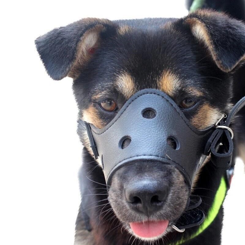 Adjustable Leather Pet Dog Mask Mouth Muzzle Anti Barking Bite Stop Chewing Brown - L V528-DOGMASK-BROWN-L-931797