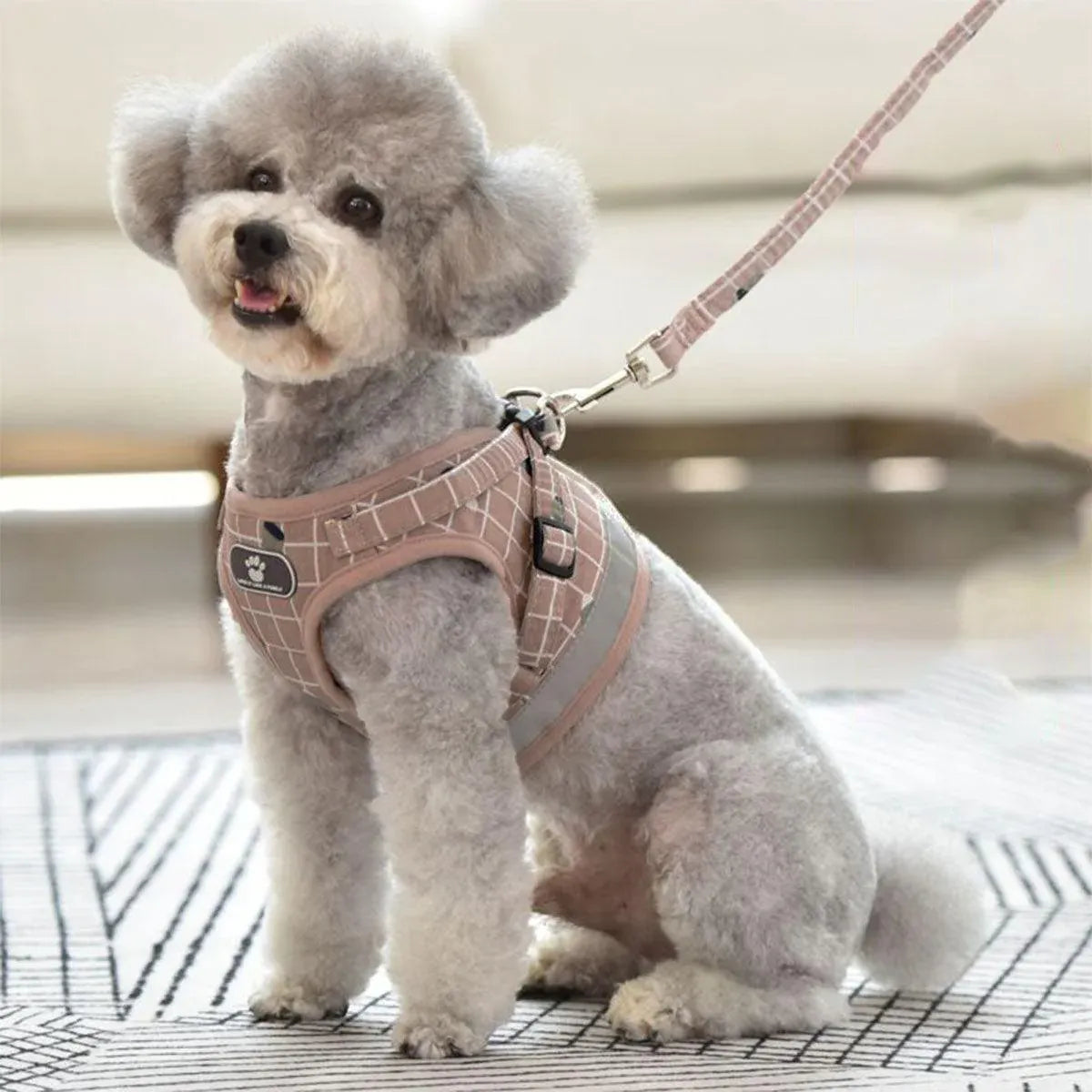 Pink Kitten Dog Cat Walking Harness Lead Leash Collar Pet Vest Mesh Adjustable - M V528-DOGROPE-PINK-M-95376