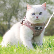 Pink Kitten Dog Cat Walking Harness Lead Leash Collar Pet Vest Mesh Adjustable - S V528-DOGROPE-PINK-S-70811
