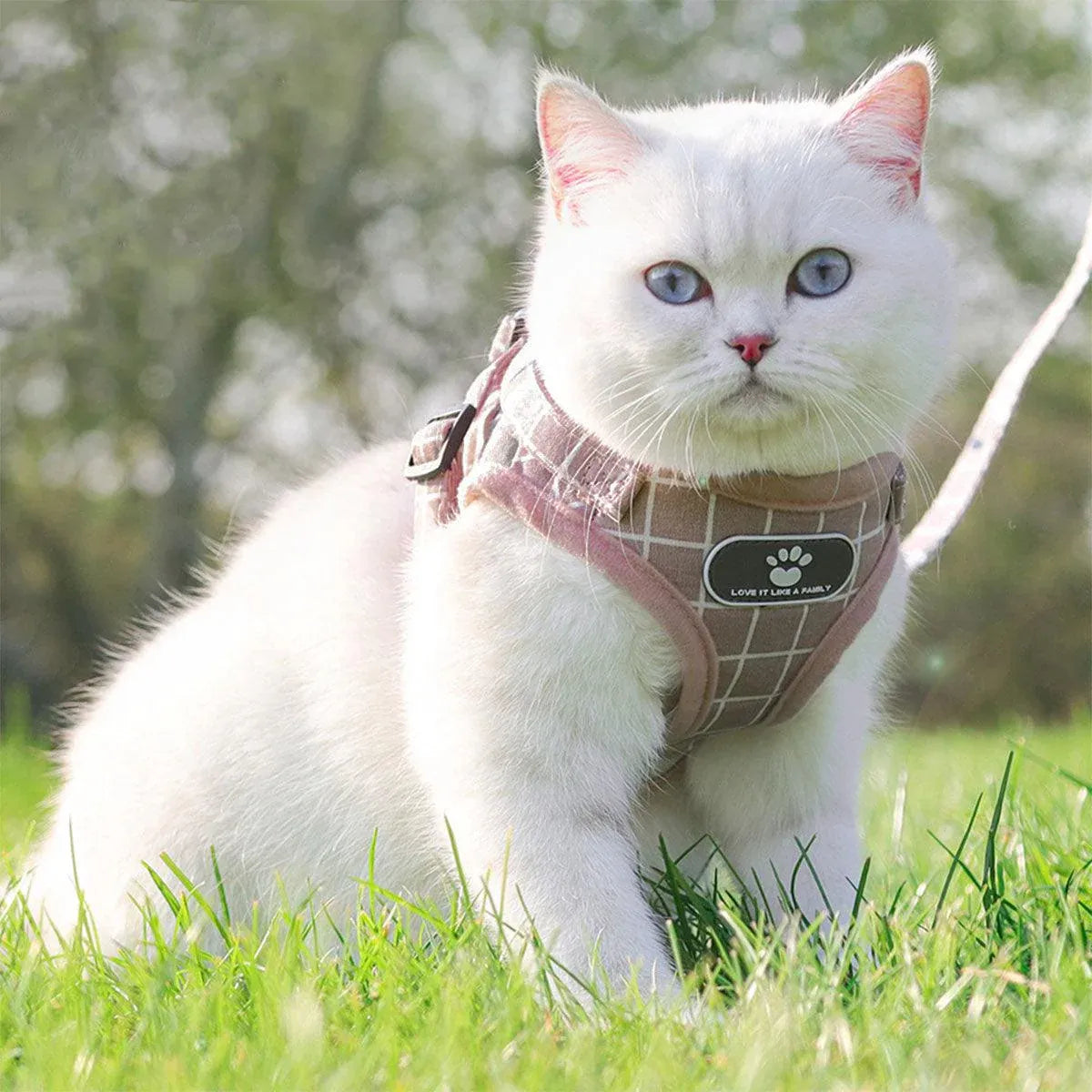 Pink Kitten Dog Cat Walking Harness Lead Leash Collar Pet Vest Mesh Adjustable - S V528-DOGROPE-PINK-S-70811