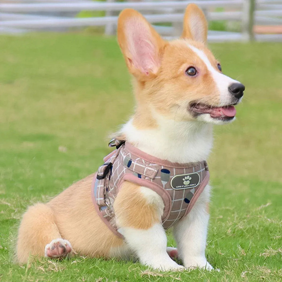 Pink Kitten Dog Cat Walking Harness Lead Leash Collar Pet Vest Mesh Adjustable - S V528-DOGROPE-PINK-S-70811